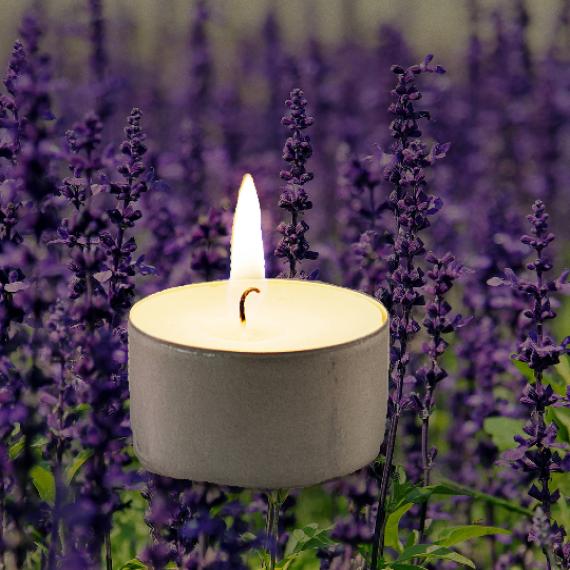 Picture of Lavender Scented Tealights