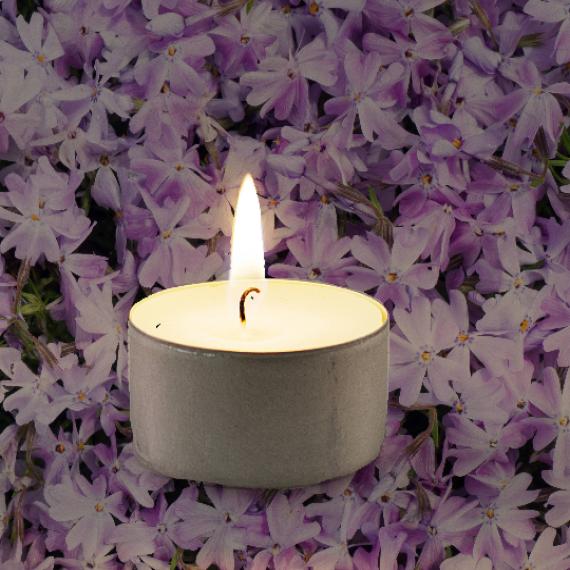Picture of Lilac Scented Tealights