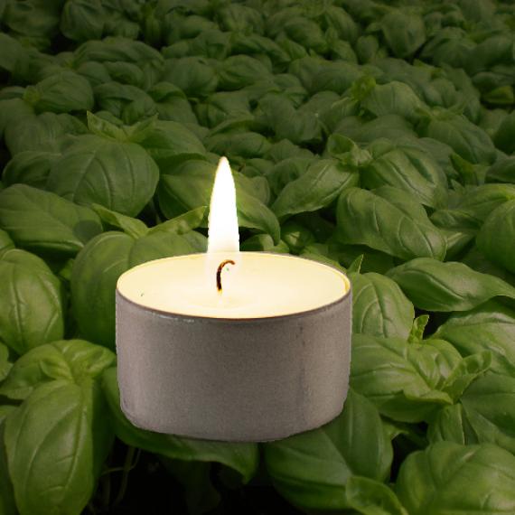 Lime, Basil and Mandarin Scented Tealights
