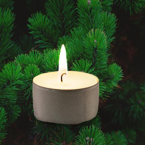 Picture of Pine Tree Scented Tealights