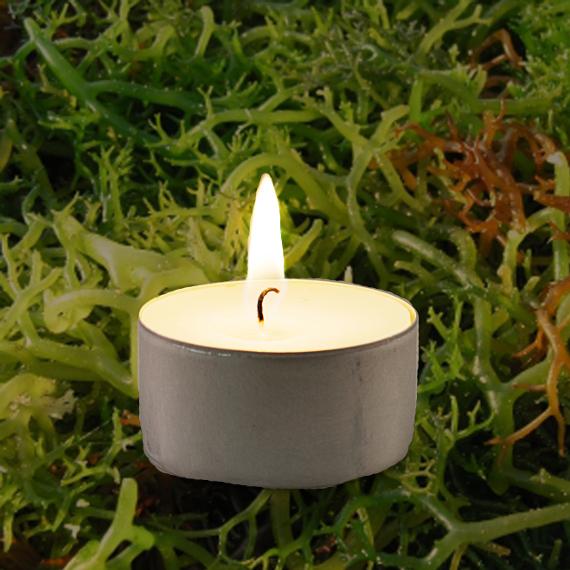 Picture of Seaweed Scented Tealights