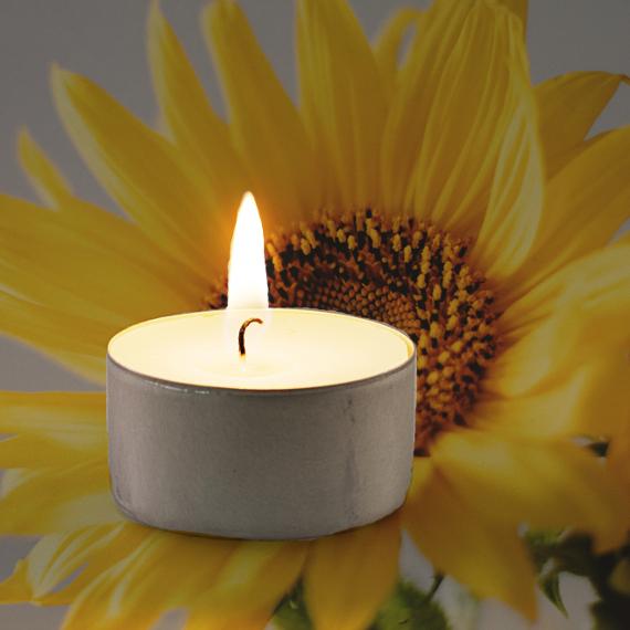 Picture of Sunflower Scented Tealights