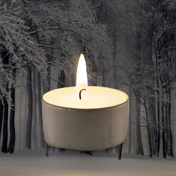 Picture of Winter Balm Scented Tealights